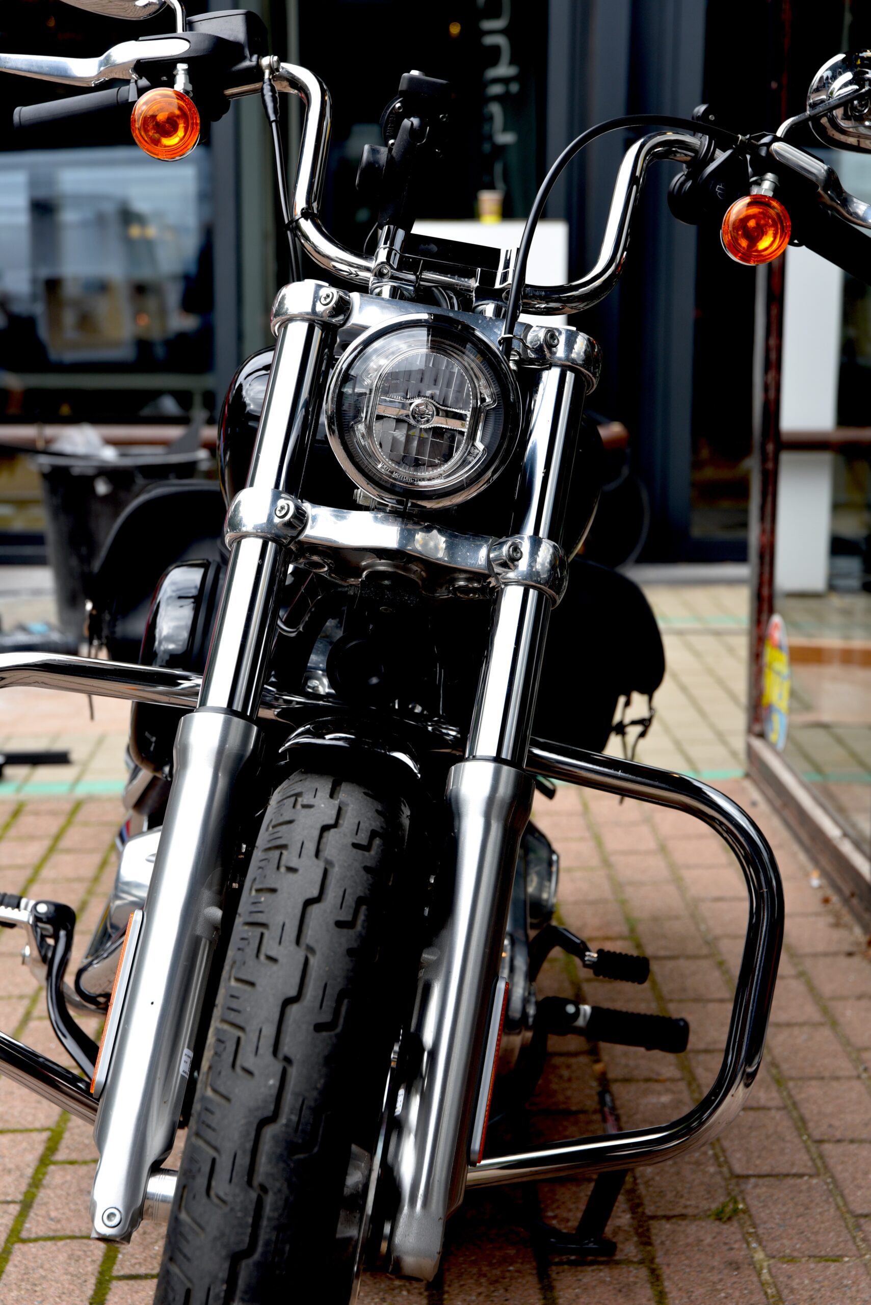 HARLEY DAVIDSON SOFTAIL STANDARD – Image 5
