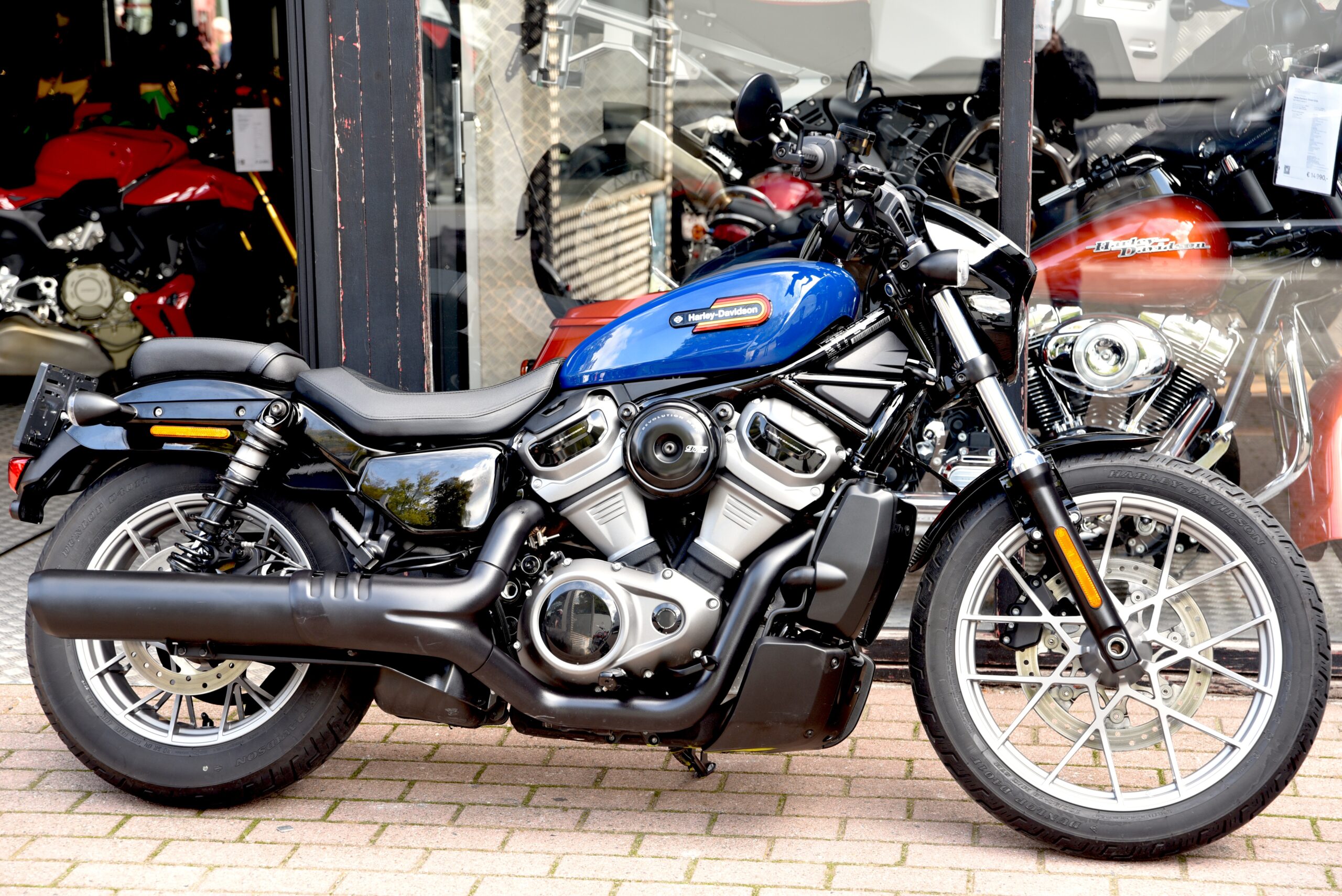 HARLEY DAVIDSON NIGHTSTER SPECIAL – Image 2