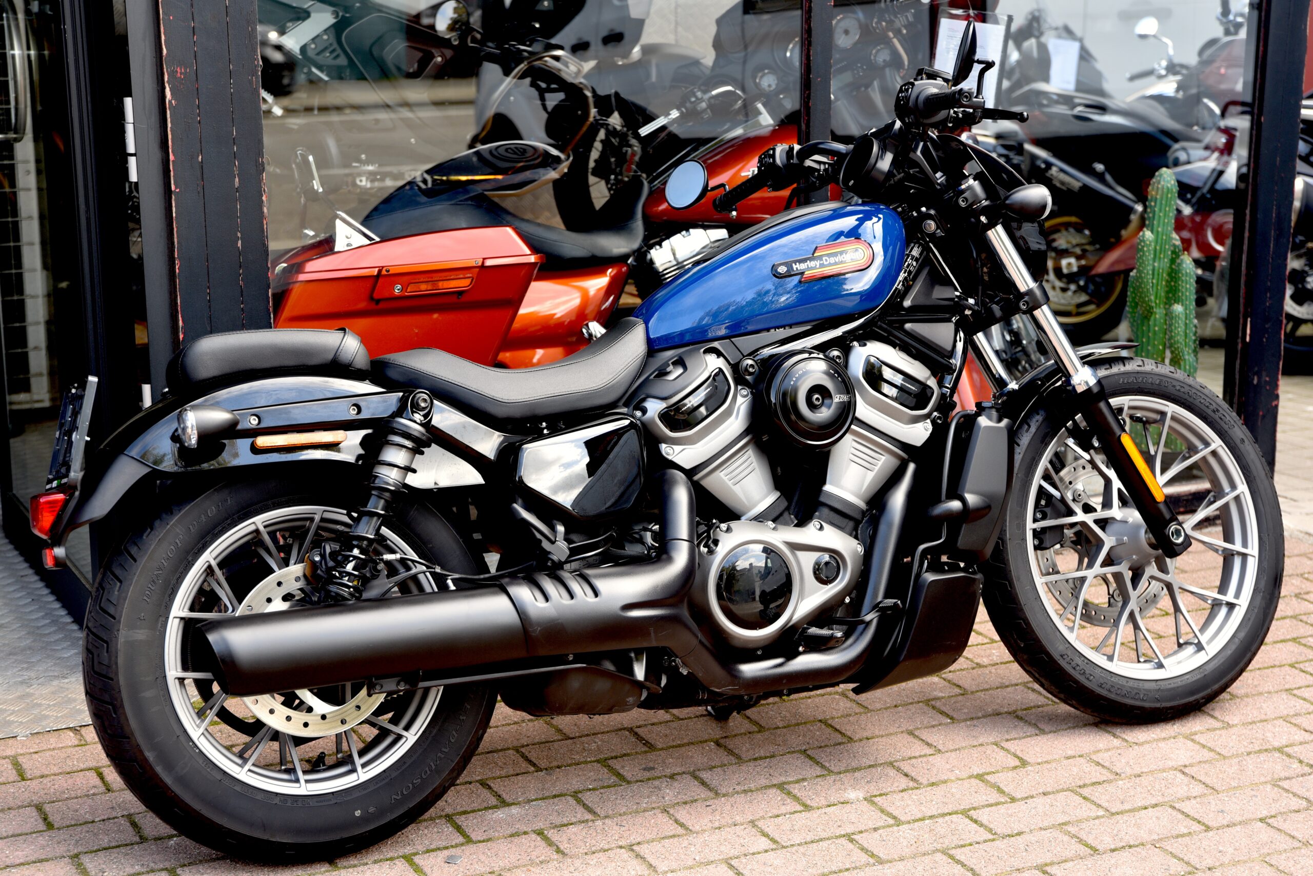 HARLEY DAVIDSON NIGHTSTER SPECIAL – Image 3