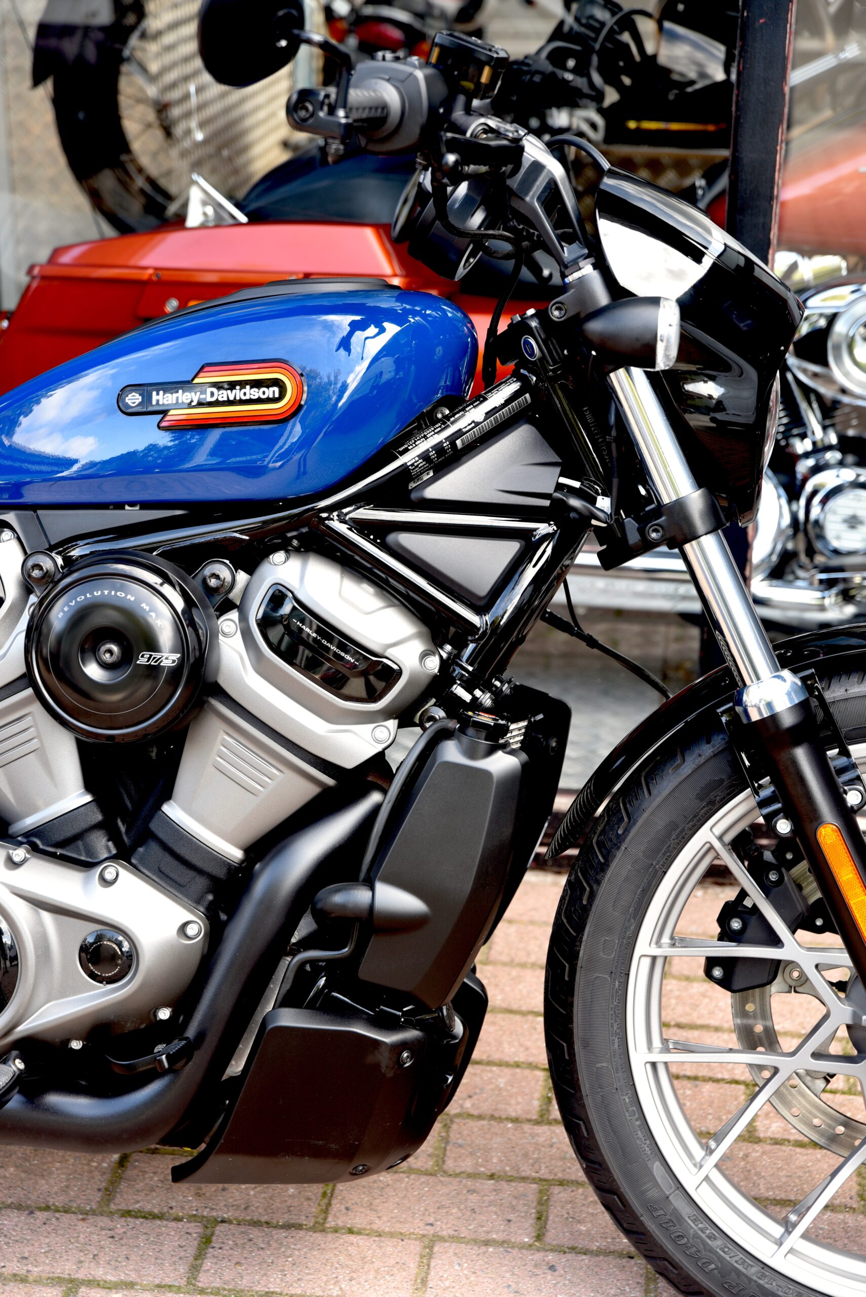 HARLEY DAVIDSON NIGHTSTER SPECIAL – Image 4