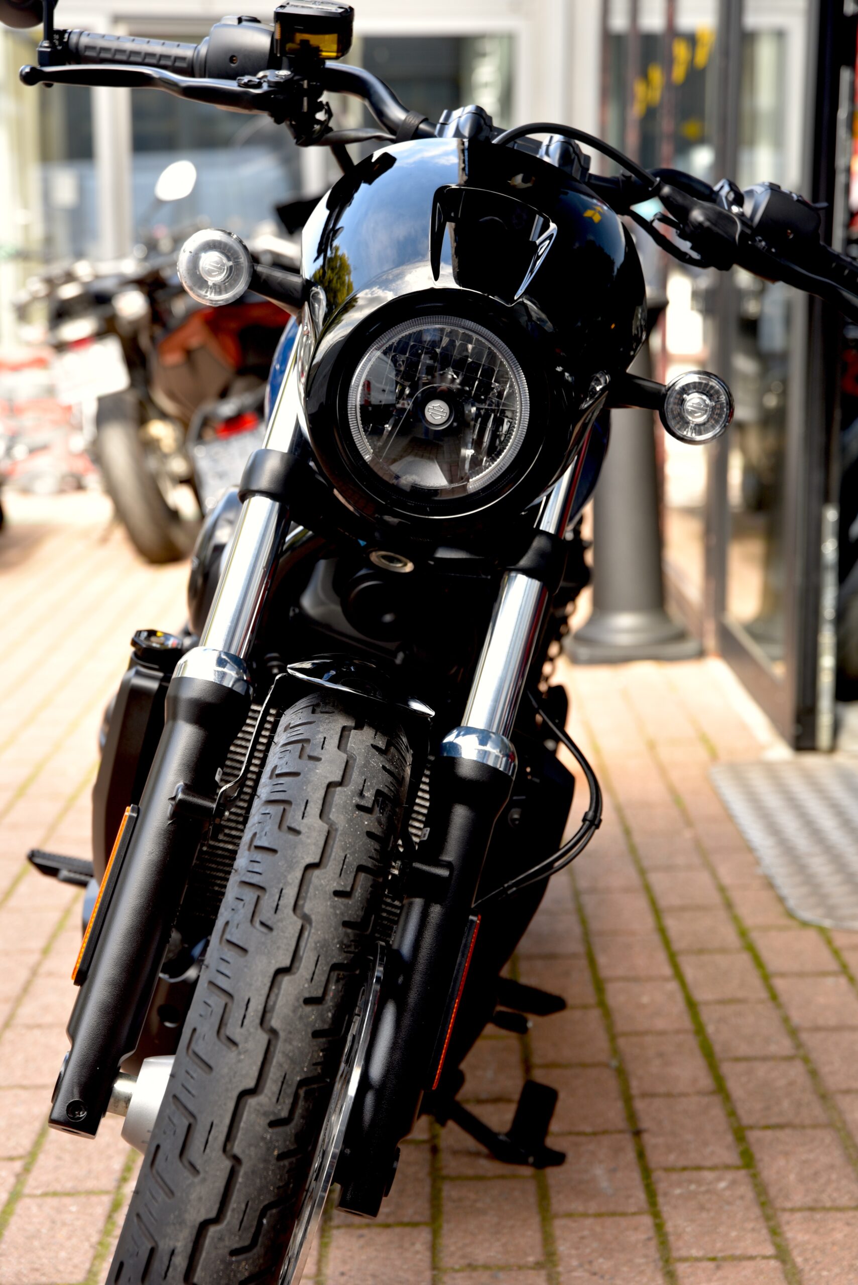 HARLEY DAVIDSON NIGHTSTER SPECIAL – Image 5