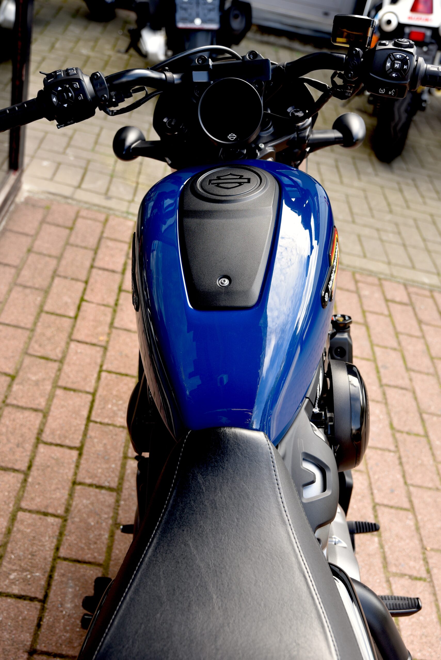 HARLEY DAVIDSON NIGHTSTER SPECIAL – Image 6