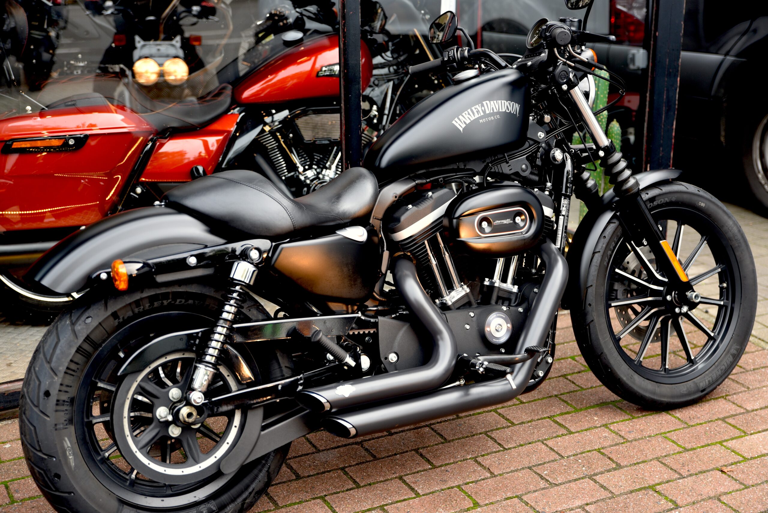 HARLEY DAVIDSON IRON 883 – Image 3