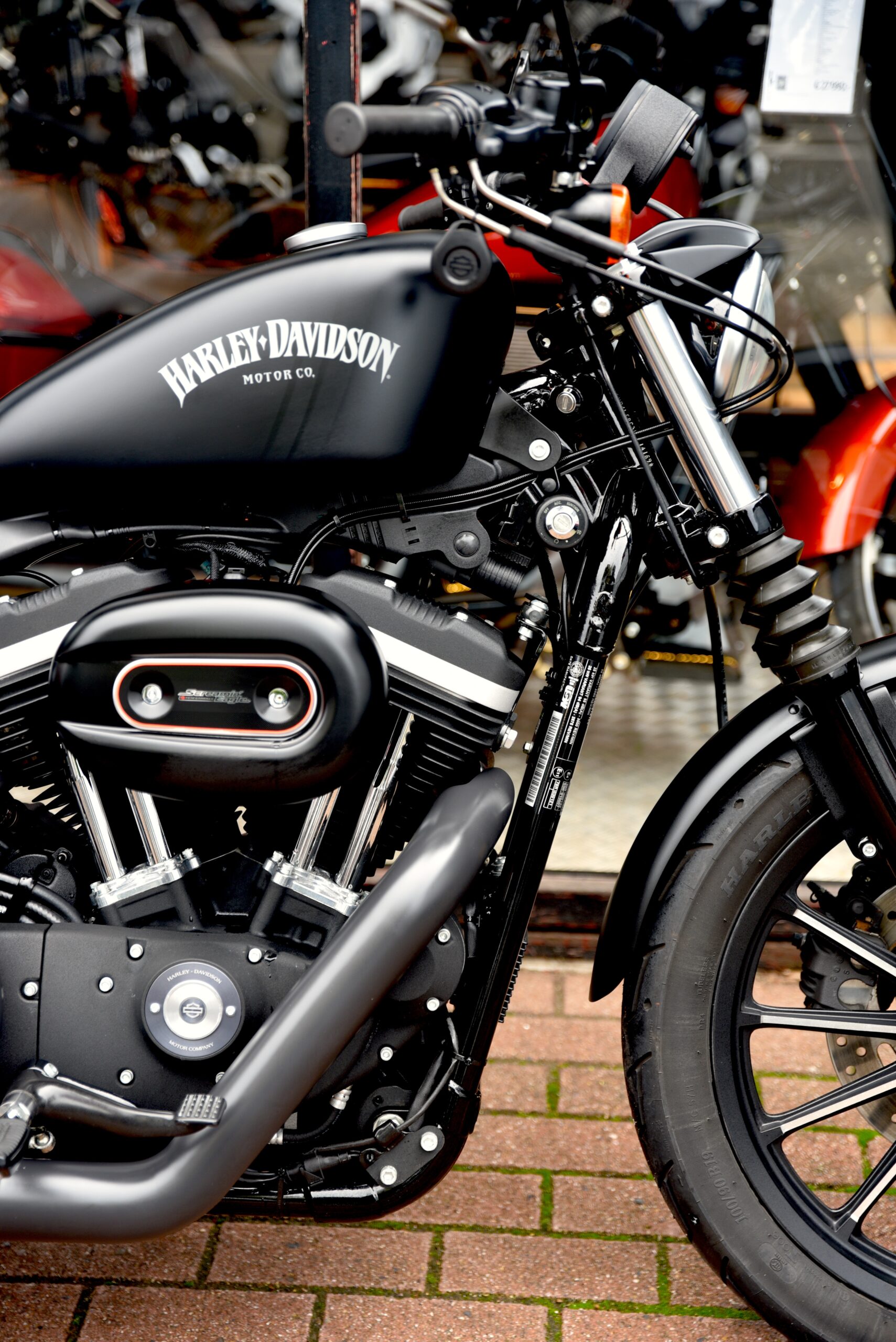 HARLEY DAVIDSON IRON 883 – Image 4