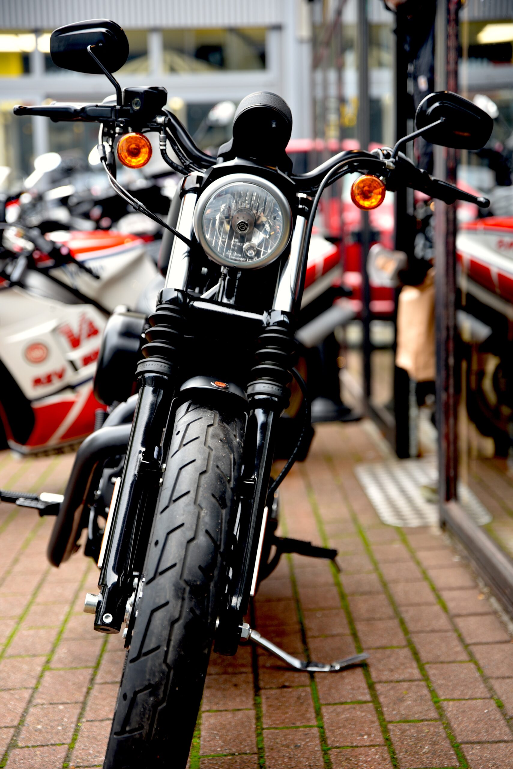 HARLEY DAVIDSON IRON 883 – Image 5