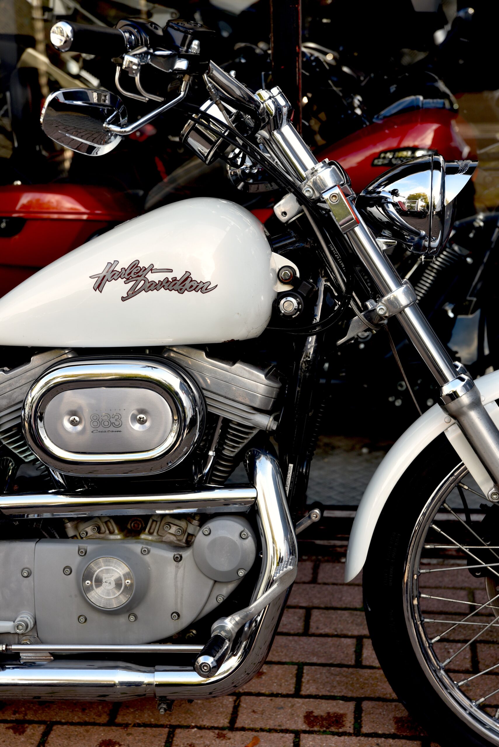 HARLEY DAVIDSON SPORTSTER 883 – Image 4