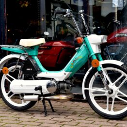 HONDA CAMINO CARNAVAL