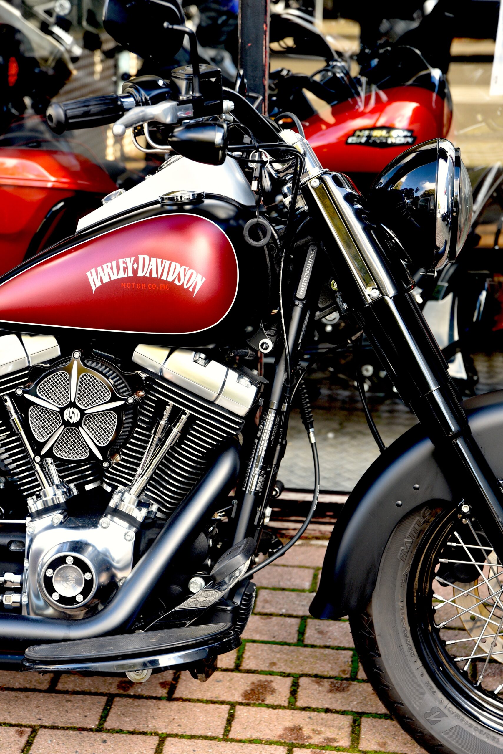 HARLEY DAVIDSON 103 FAT BOY LO SPECIAL – Image 4