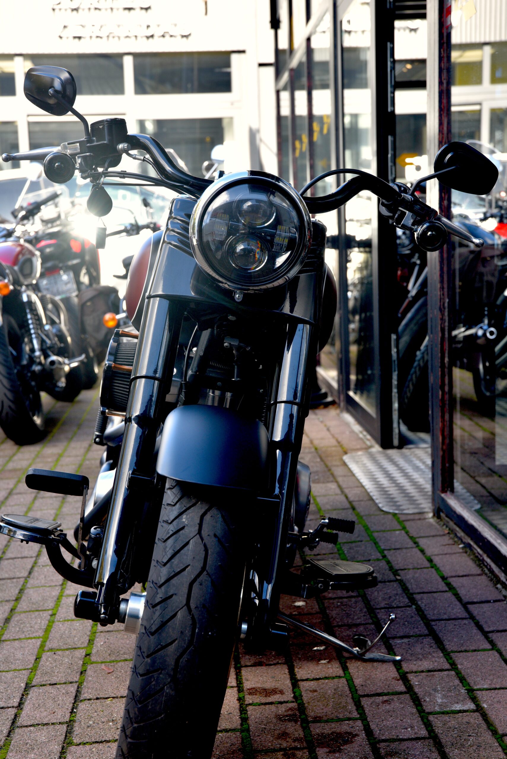 HARLEY DAVIDSON 103 FAT BOY LO SPECIAL – Image 5